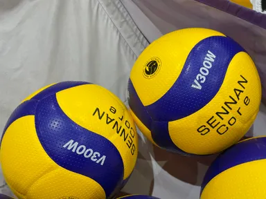 必要なボール、単価7,000円以上