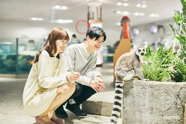 「ニフレル」施設イメージ