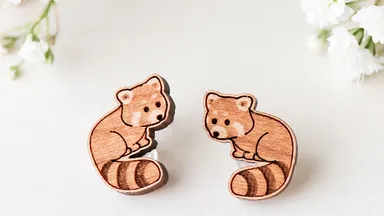 レッサーパンダ