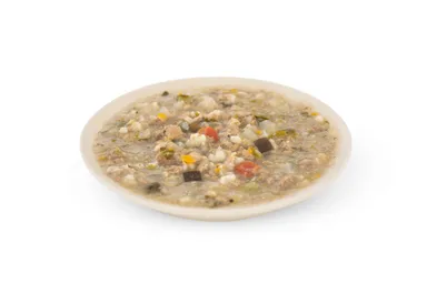 ウェットタイプのドッグフード