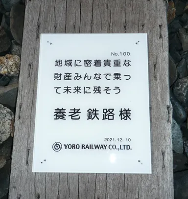 プレート（Ｃコース）