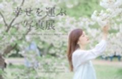 estudio Ricoのロゴ