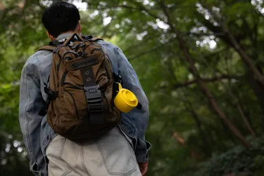 LINE FRIENDS edition 17