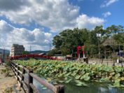 ▲青井阿蘇神社の禊橋は豪雨災害にて破壊されたが、2022年10月に修復が完了した