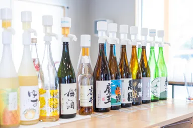 アルコールも飲み放題