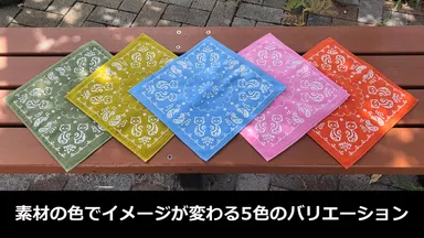 カラーバリエーション
