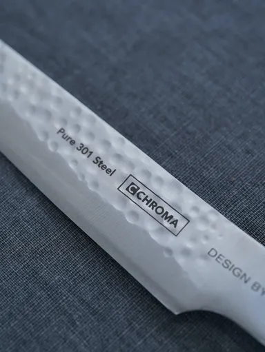 Chroma Type 301 P-19 HM 5