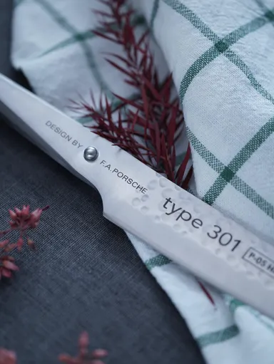 Chroma Type 301 P-19 HM 6