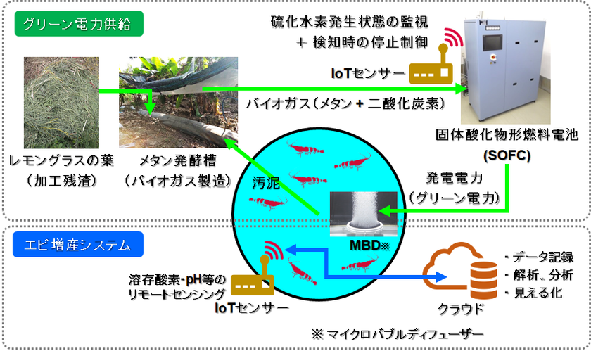 絶版▽稀少】先進化学センサ ガス・バイオ・イオンセンシングの最新 絶版▽稀少】先進化学センサ ガス・バイオ・イオンセンシングの最新