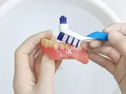 6.入れ歯用ブラシで蓄積された汚れを磨き落とす