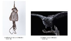 超絶技巧、未来へ！