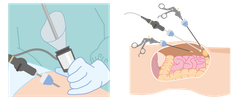 img_333652_6.png