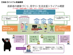 トライアル実施概要