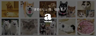 「かわいい」は、伝わる