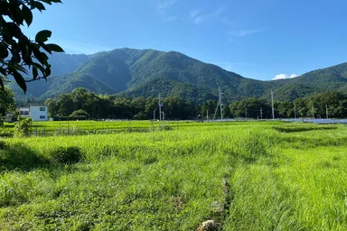 裏の景色　イベントスペースとして活用予定