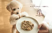 CoCo Gourmet(ココグルメ)