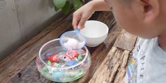 魚すくい