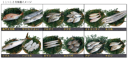 11～12月の魚種イメージ