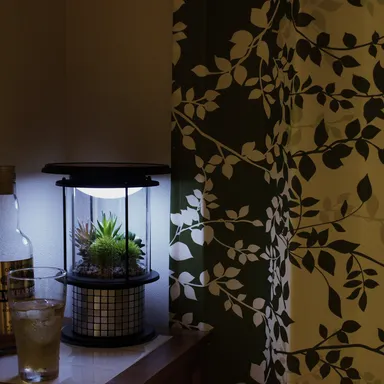 心癒すくつろぎの時間