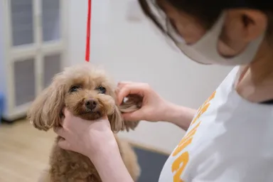 トリミングサロン「FREEWAN」