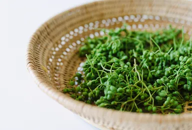 『火鍋麻辣麺』白湯×麻辣(パイラー)神田店 (2)