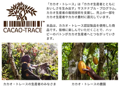 カカオ・トレース