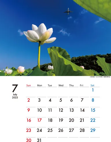 カレンダーイメージ7月