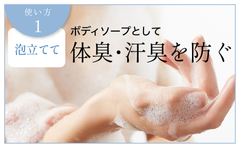 img_335266_2.png