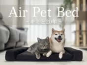 Air Pet Bed