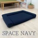SPACE NAVY
