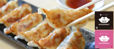 鹿児島美湯豚餃子