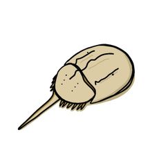 かさおか貢献隊