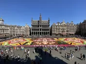 Brussels Flower Carpet 2022