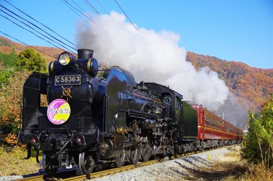 過去のSL秩父夜祭号