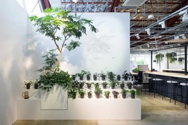 コワーキングスペース