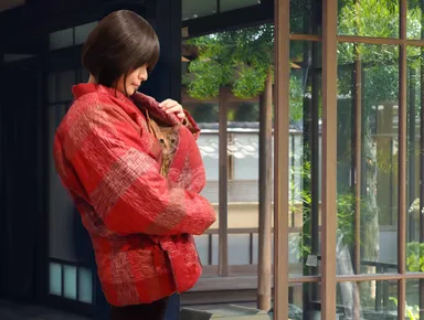 愛猫を入れて移動も