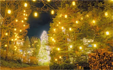 クリスマスガーデンイメージ