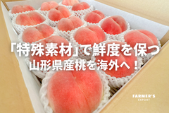 FARMER'S EXPORT　山形県産桃 海外へ