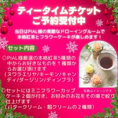 フェア告知2
