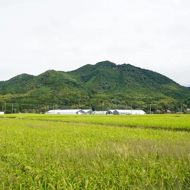 朝倉市にある兵四郎ファーム