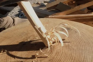 フェザリング動画