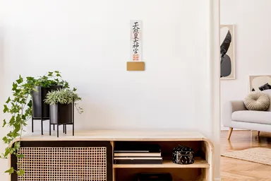 使用イメージ(キャメル)