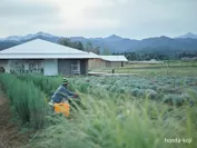 富山の雄大な土地