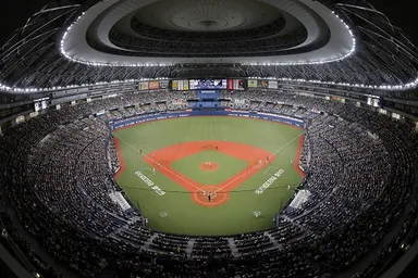 オリックス・バファローズの2023年リーグを楽しむ福袋