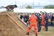 警察犬による埋没土砂からの救出訓練の様子(1)