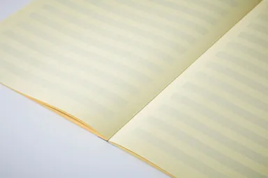 ペイフォワード まほら レモン　あみかけ横罫