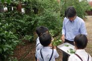 校庭樹木を活用した環境教育の様子