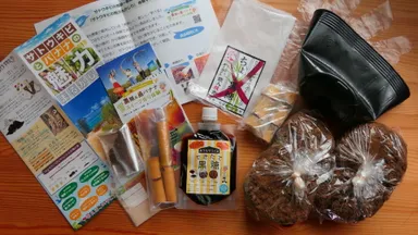 事前送付する体験キット