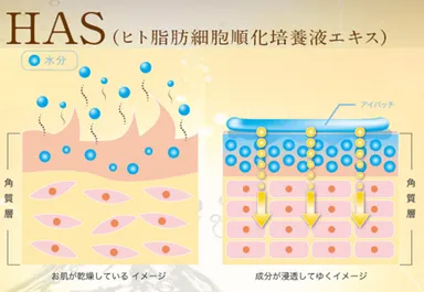 HAS(ヒト幹細胞エキス)