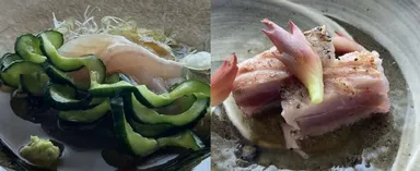 魚菜料理 縄屋×MOTOI